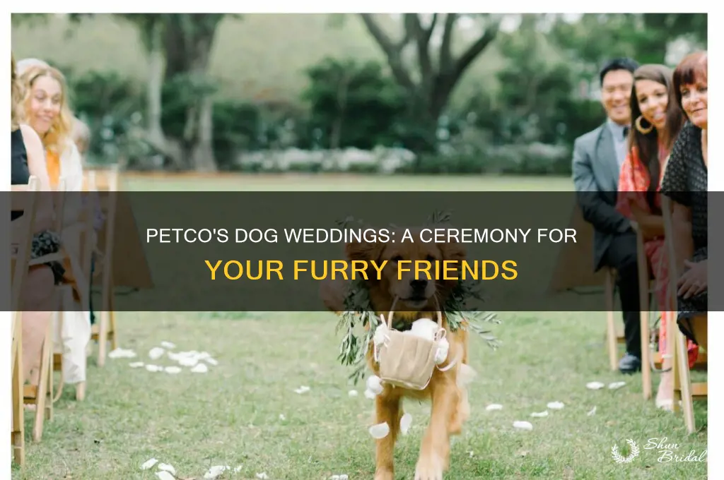 does petco really offer weddings for dogs