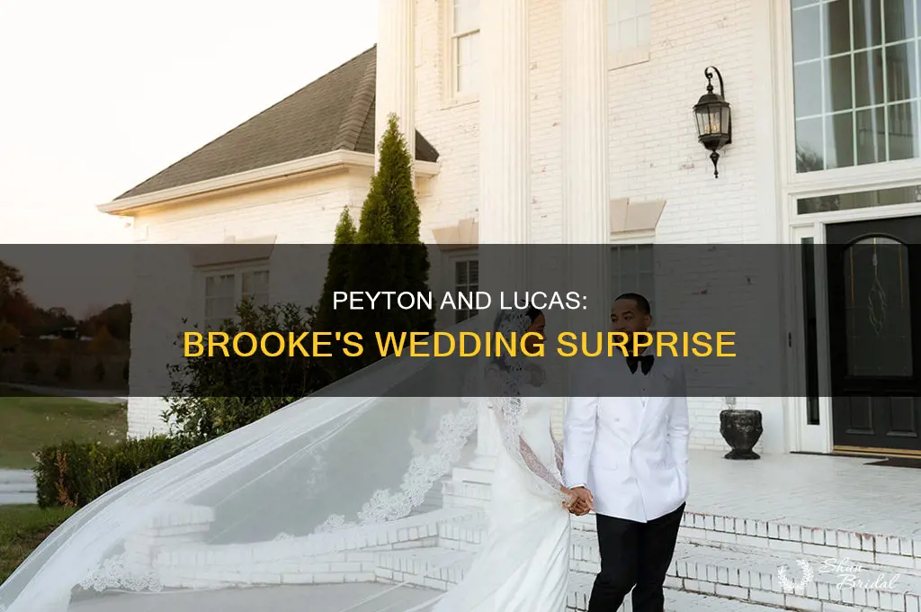 does peyton and lucas come back for brooke