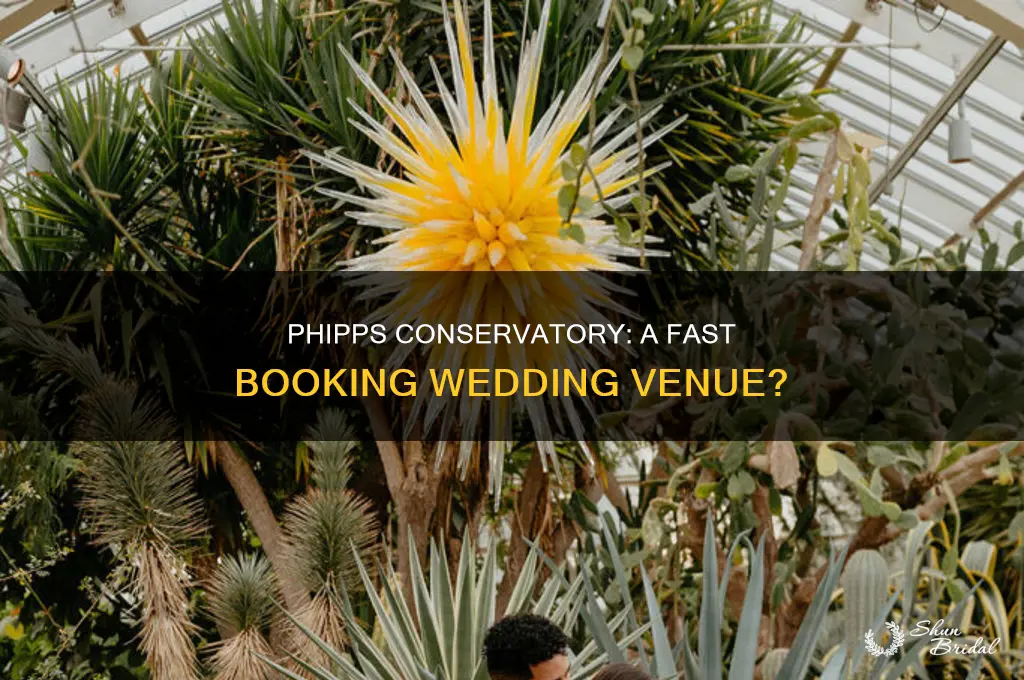 does phips conservatory book fast for weddings