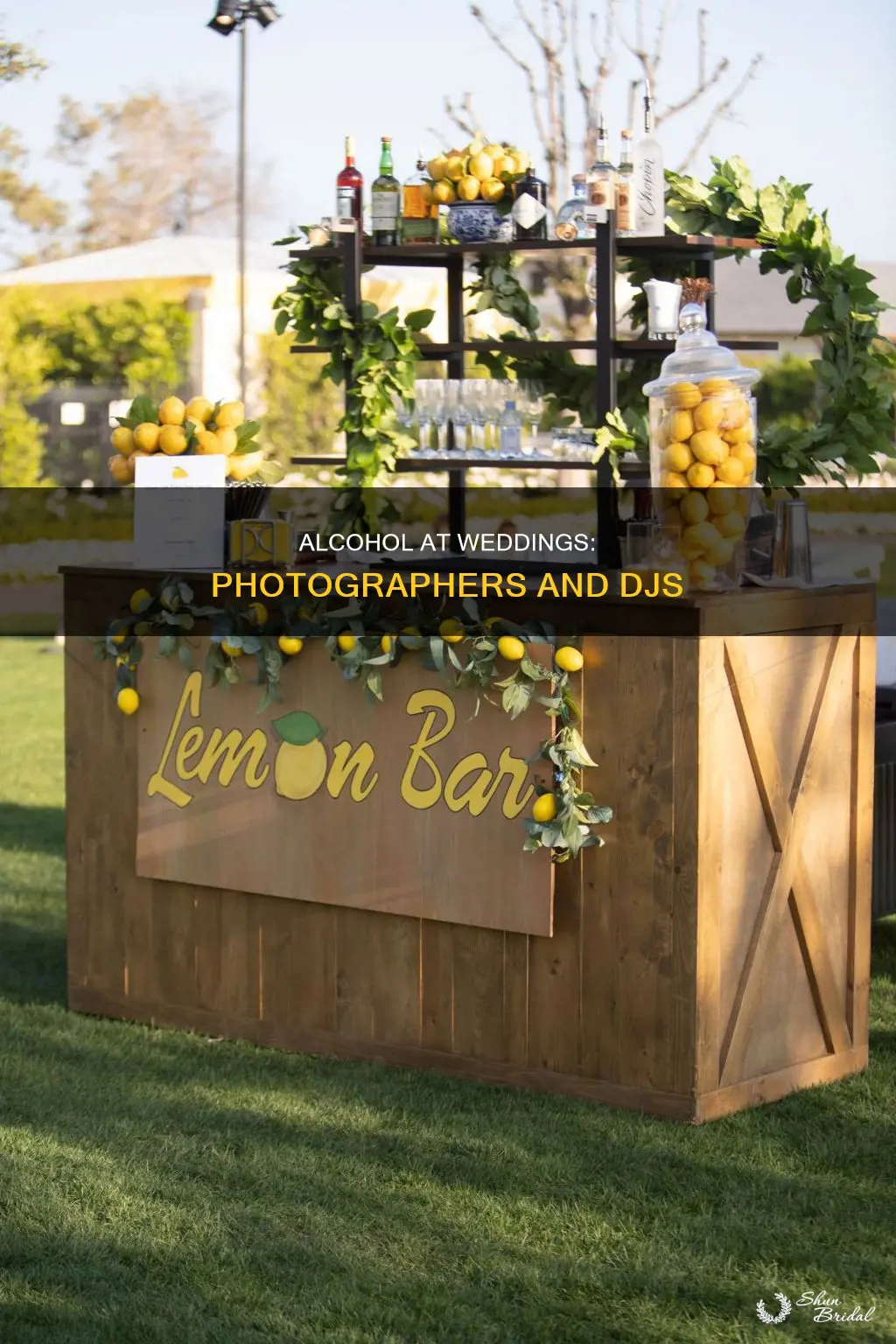 does photographer and dj at wedding have alcohol