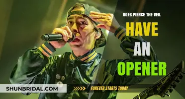Pierce the Veil's Tour: Who Opens Their Shows?