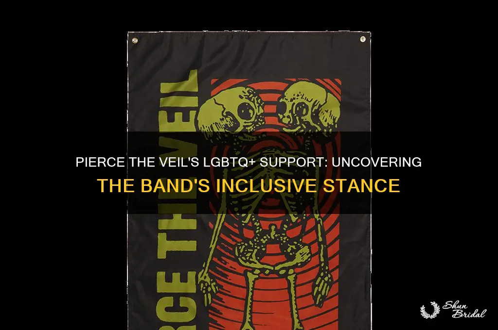 does pierce the veil support lgbtq