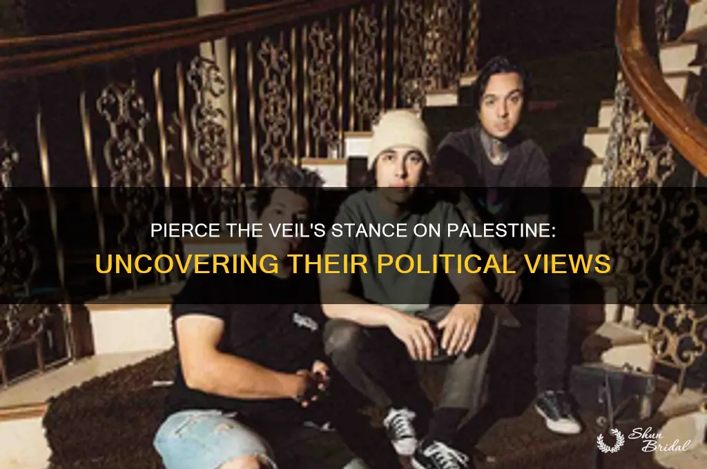 does pierce the veil support palestine