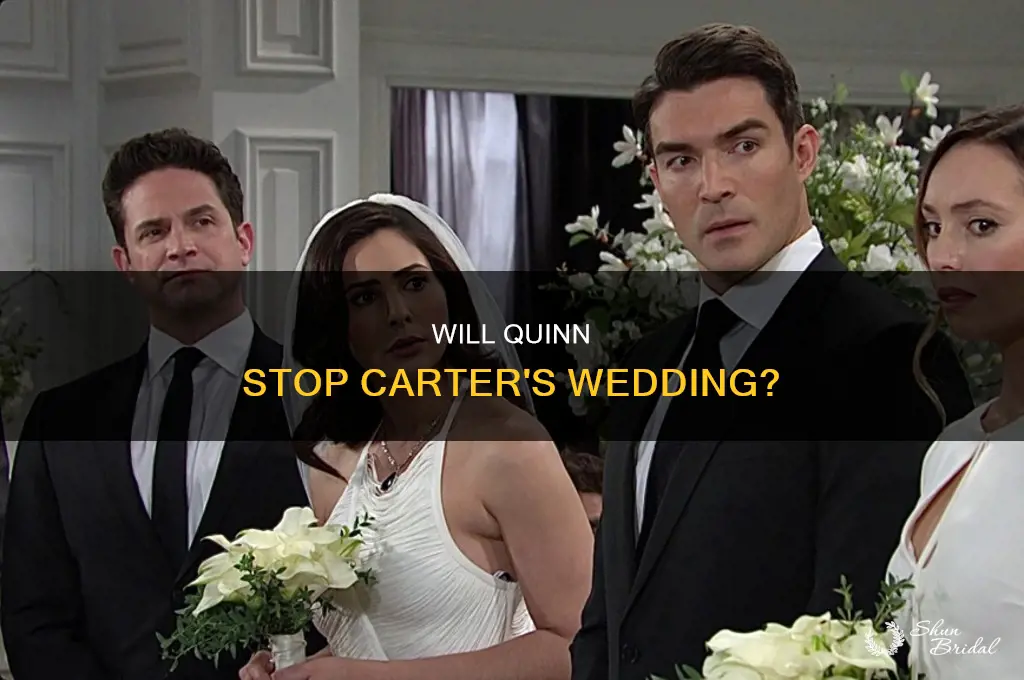 does quinn stop carter