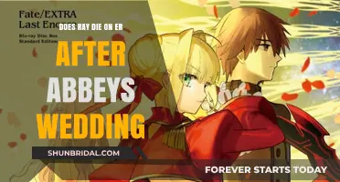 Ray Barnett's Fate After Abby's Wedding: ER Drama