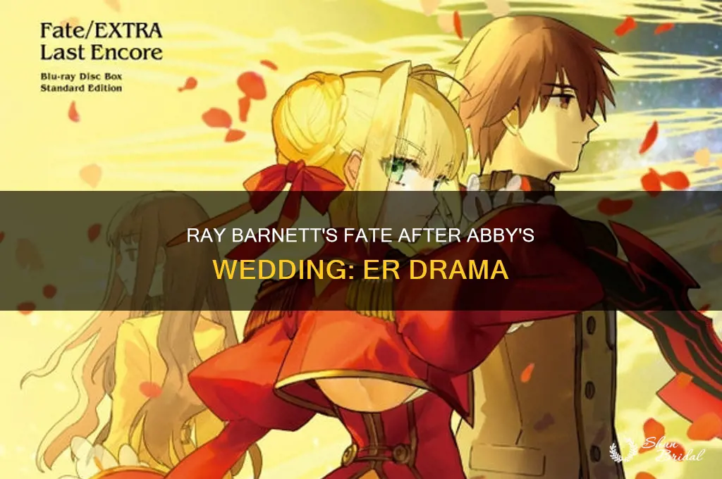 does ray die on er after abbeys wedding