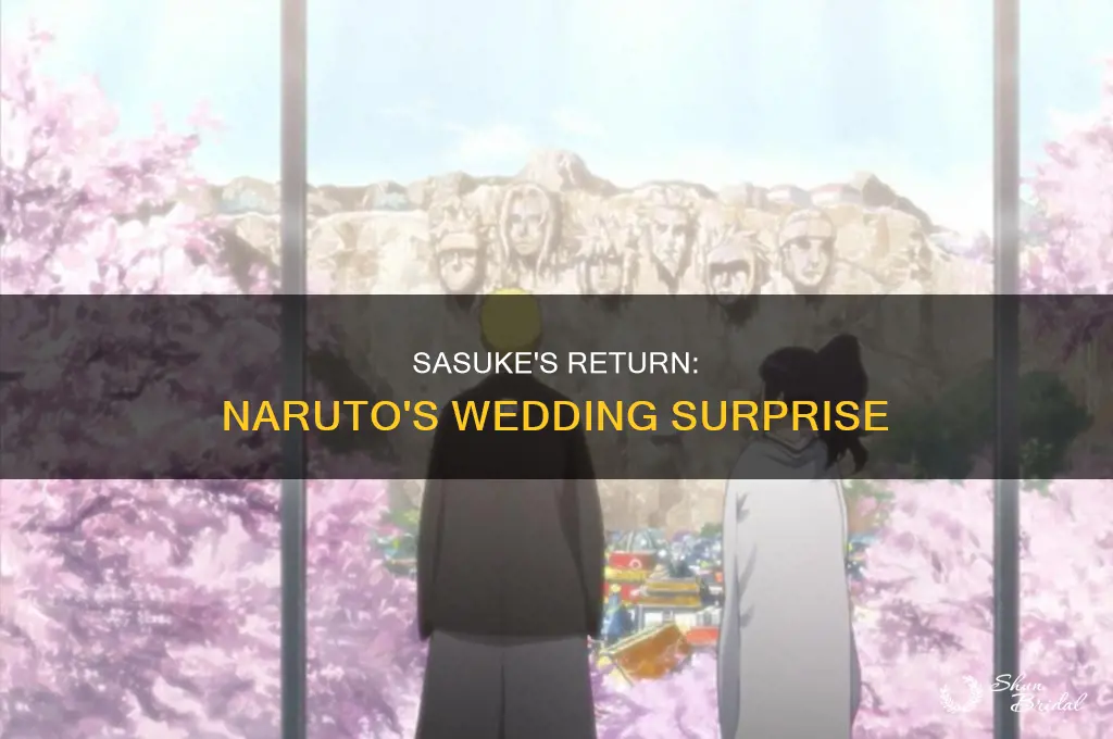 does sasuke come back for naruto