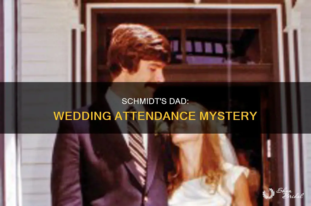 does schmidt