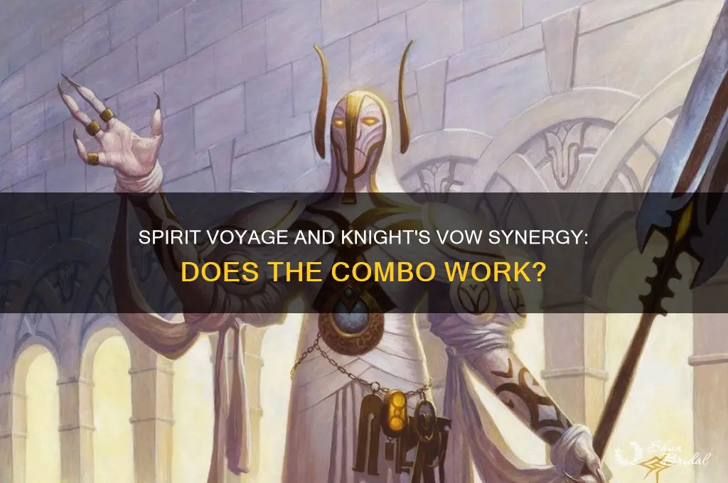 does spirit viasge work with knights vow