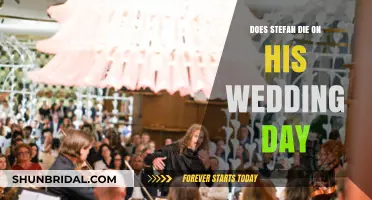 Does Stefan Die on His Wedding Day? The Shocking Truth