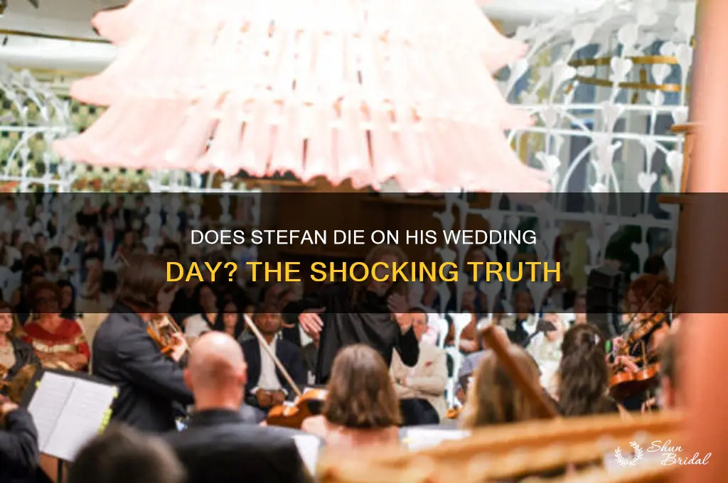 does stefan die on his wedding day
