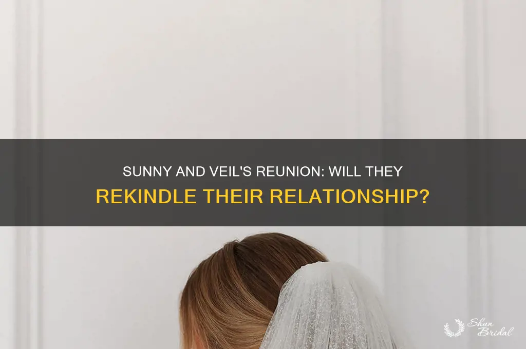 does sunny and veil get back together