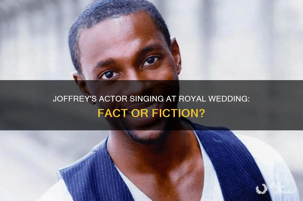 does the actor playing joffrey sing at the royal wedding