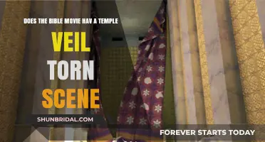 The Bible Movie: Temple Veil Torn Scene Explored