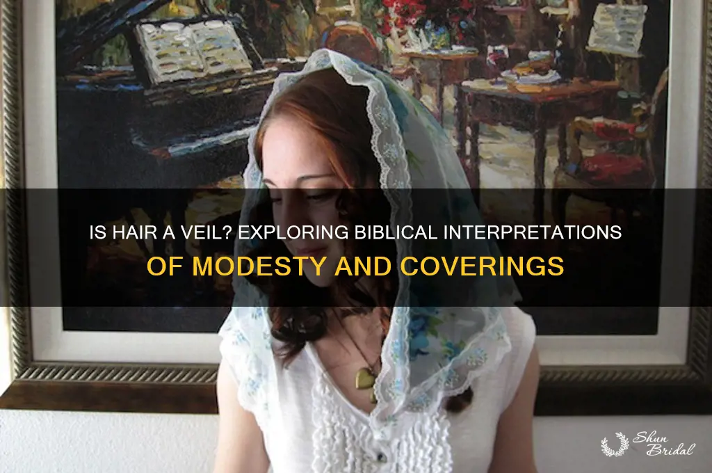does the bible say our hair is a veil