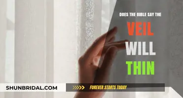 Does the Bible Say the Veil Will Thin? Exploring Scriptural Insights