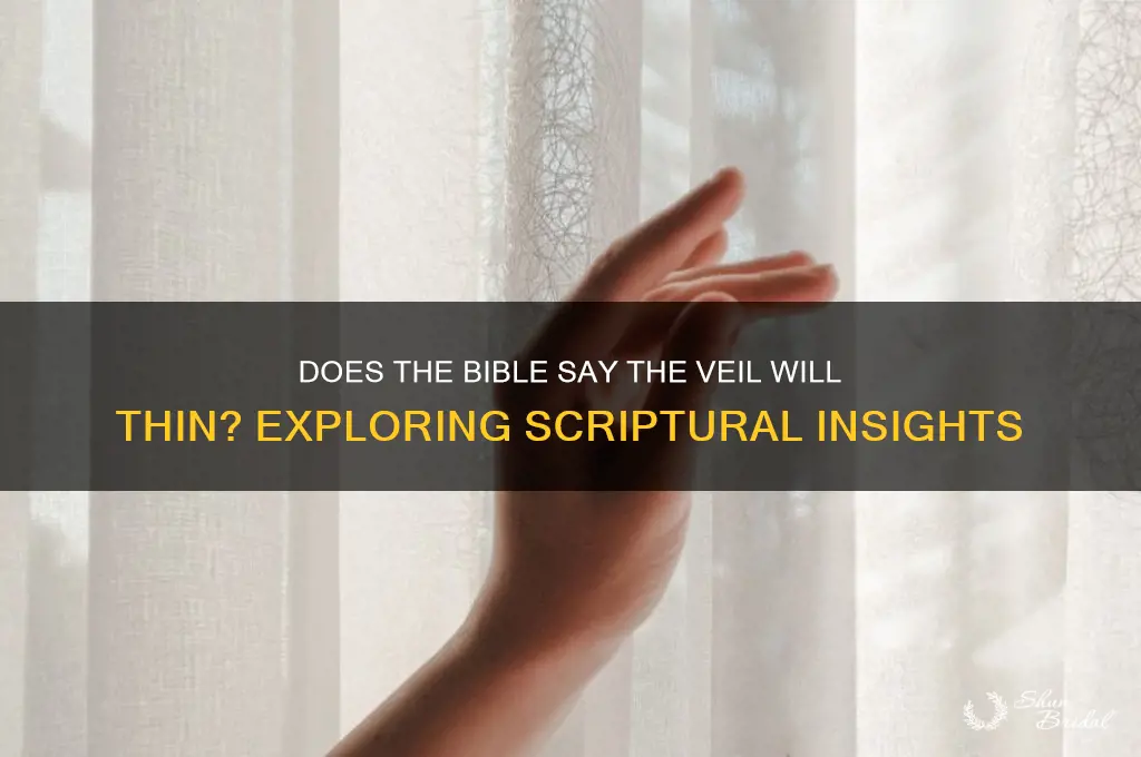 does the bible say the veil will thin