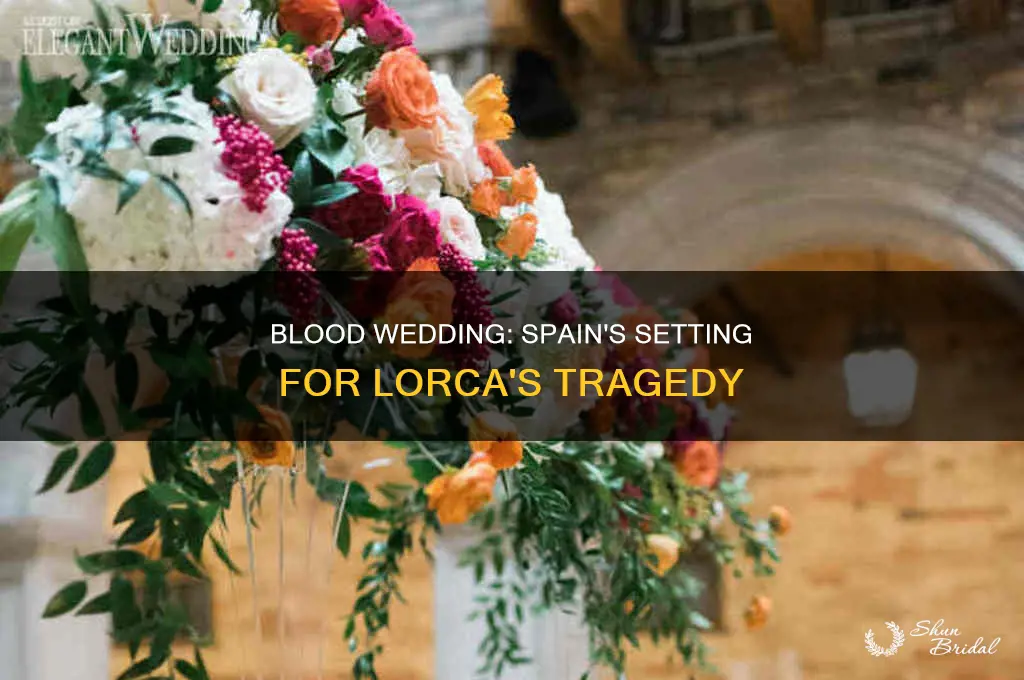 does the blood wedding take place in spain