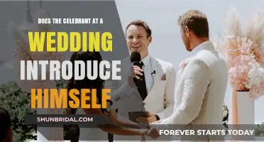Introducing the Celebrant: A Wedding's Master of Ceremonies