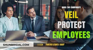 Corporate Veil: Does It Shield Employees from Legal Liability?