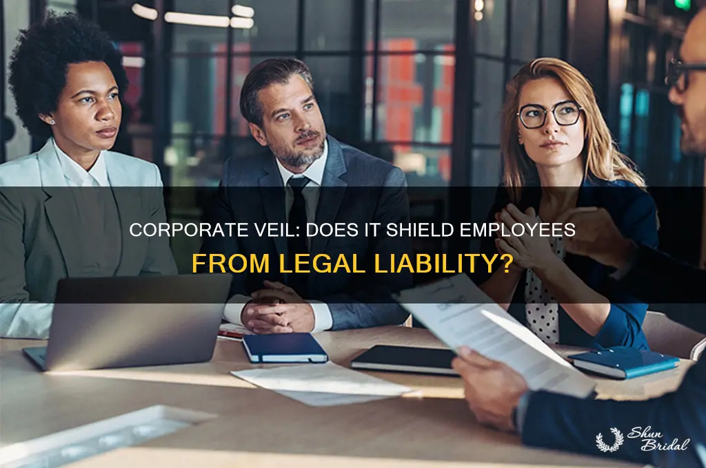 does the corporate veil protect employees