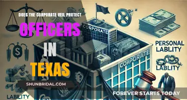 Corporate Veil Protection for Texas Officers: Legal Shield or Myth?