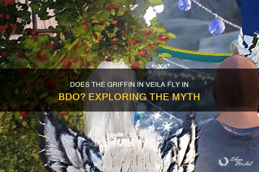 does the griffin in veila fly bdo