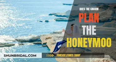 Who Plans the Honeymoon? Groom's Role Explained