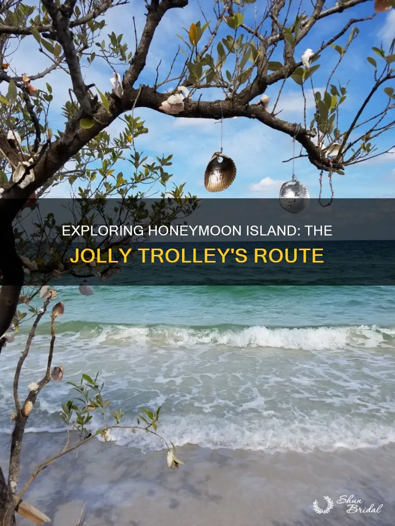 does the jolley trolley stop at honeymoon island