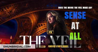 The Veil: Decoding Its Plot and Logic - Does It Make Sense?