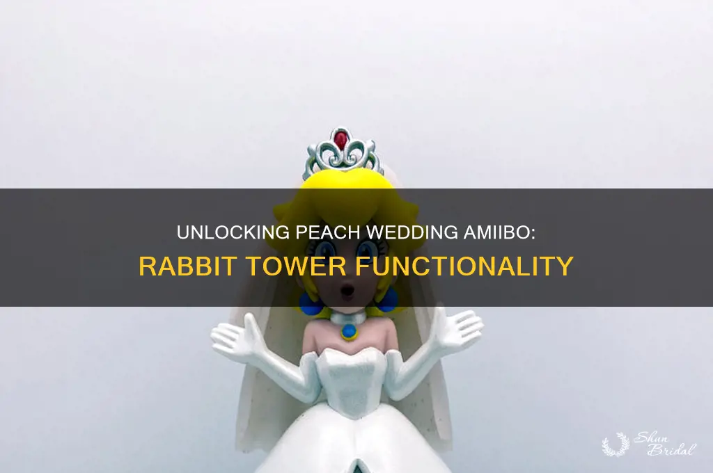 does the peach wedding amiibo work in rabbit tower