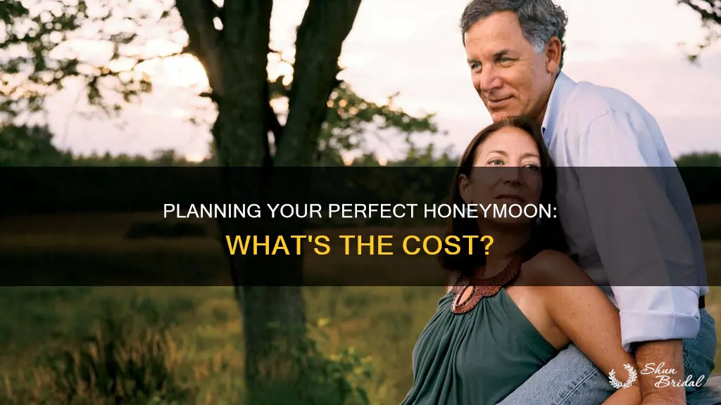 does the perfect honeymoon company cost money