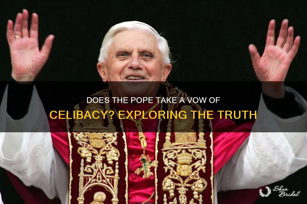 does the pope take a vow of celibacy