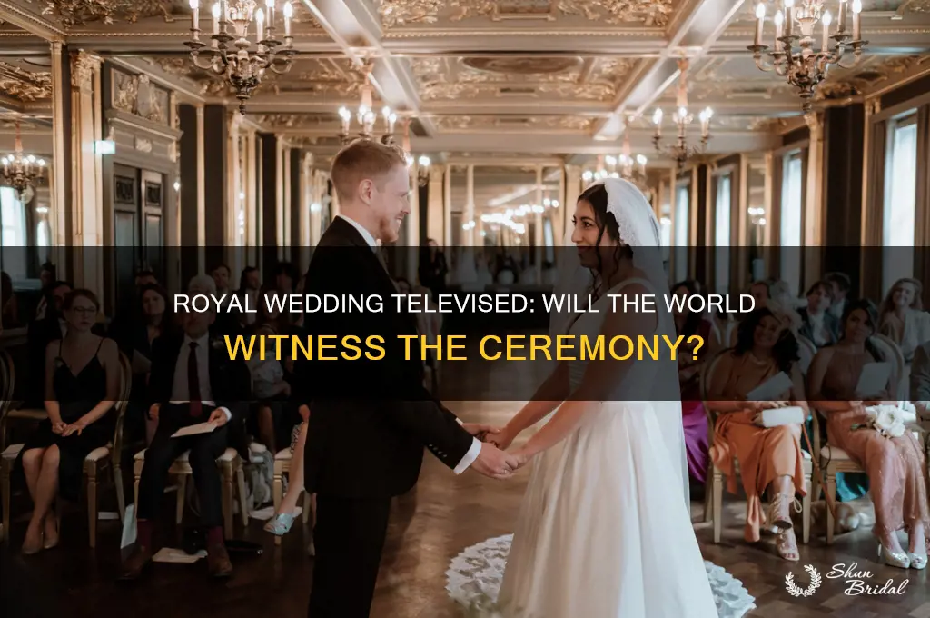 does the royal wedding get televised