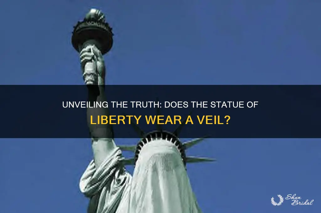 does the statue of liberty have a veil