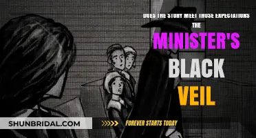 The Minister's Black Veil: Does the Tale Fulfill Reader Expectations?