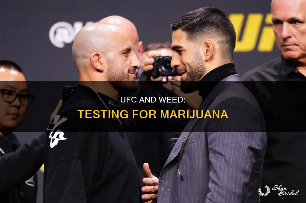 does the ufc test for wed