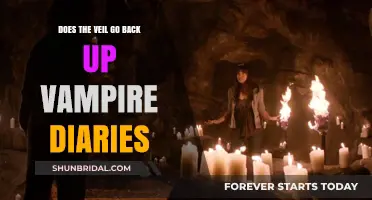 Does the Veil Rise Again in 'The Vampire Diaries'?