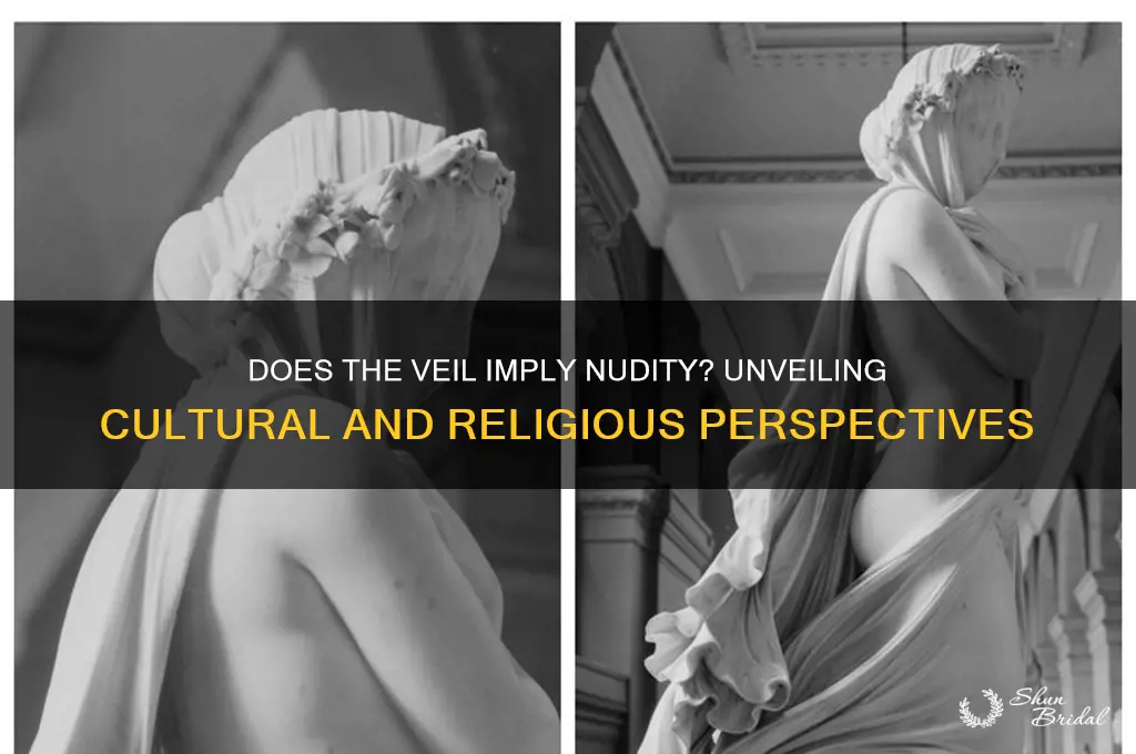 does the veil have nudity
