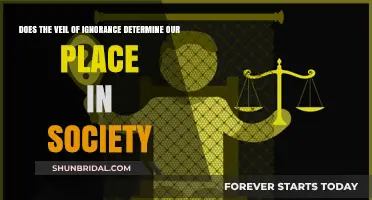 Veil of Ignorance: Shaping Social Hierarchies and Our Place Within