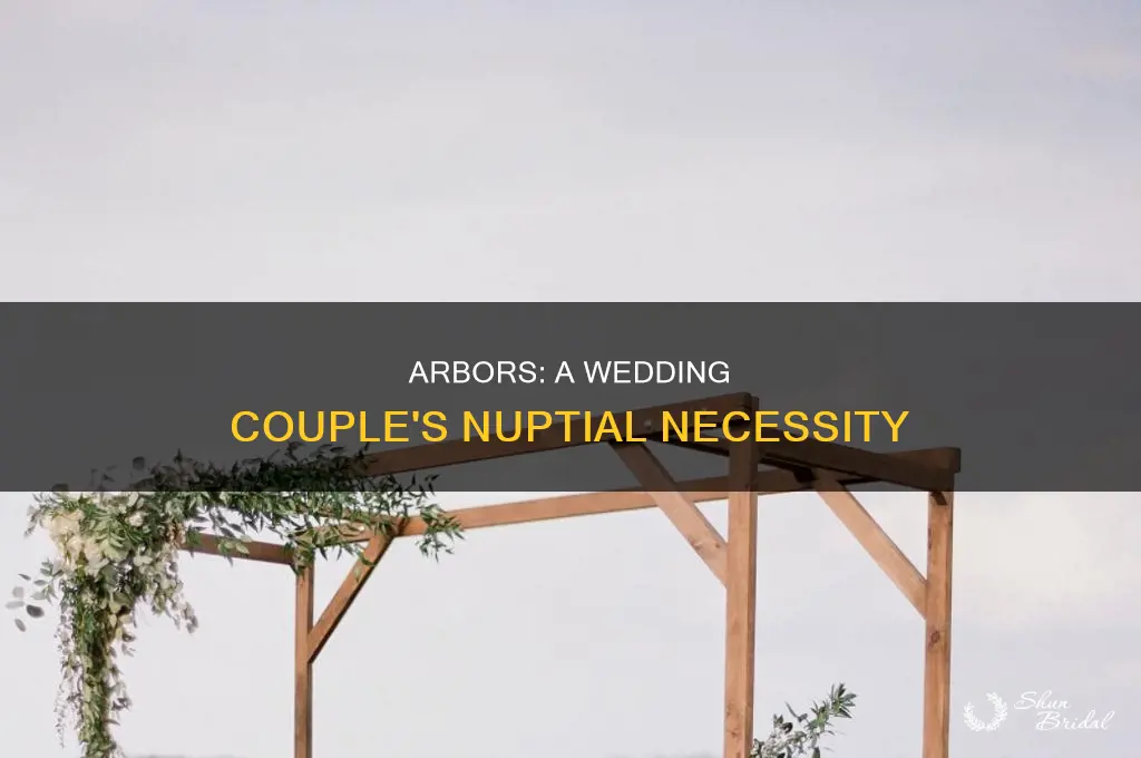 does the wedding couple stand under an arbor