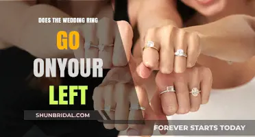 The Wedding Ring: Left Hand's Story