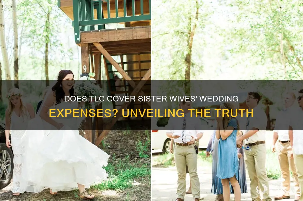 does tlc pay for sister wives weddings