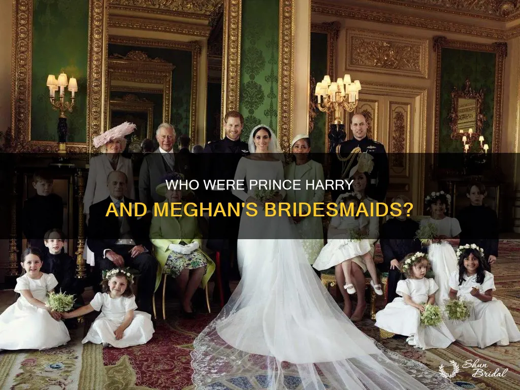 does tprince harry and meghan have bridesmaids