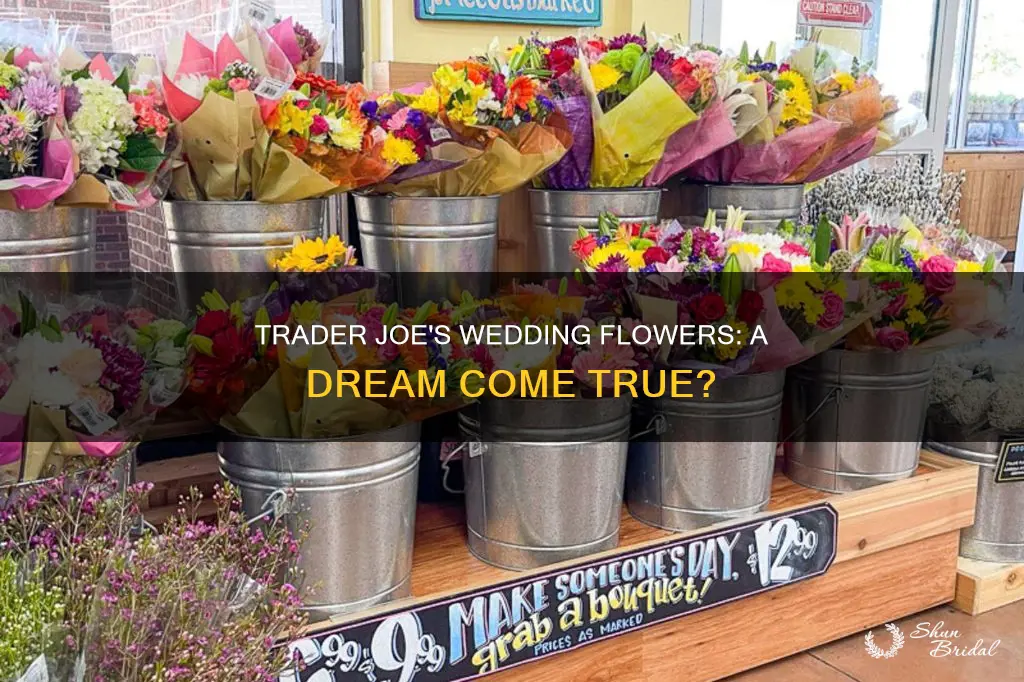 does trader joe