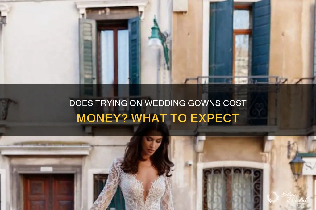 does trying on wedding gowns cost money