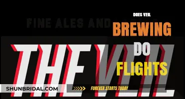 Veil Brewing's Flight Options: A Tasting Experience Guide