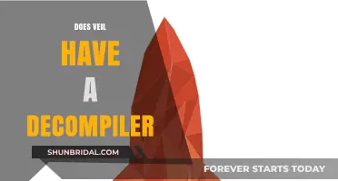 Does Veil Have a Decompiler? Exploring Its Capabilities and Limitations