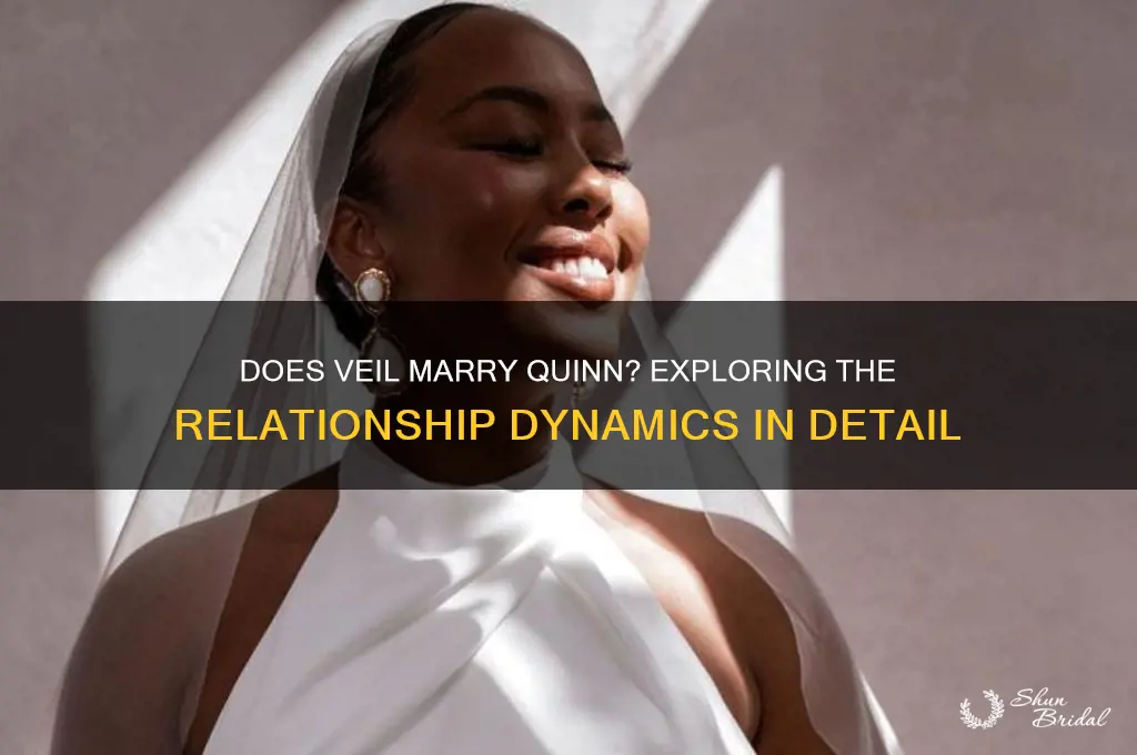 does veil marry quinn