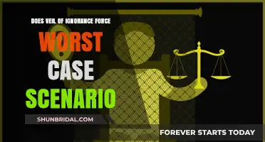Veil of Ignorance: Does It Always Lead to Worst-Case Outcomes?